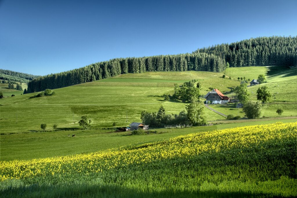 platteland